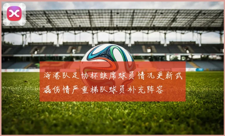 海港队足协杯缺席球员情况更新武磊伤情严重梯队球员补充阵容